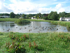 The village green and pond