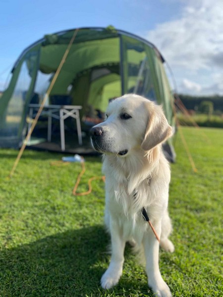 Pitches for your tent at Caldbeck, Cumbria, close to The Lake District5